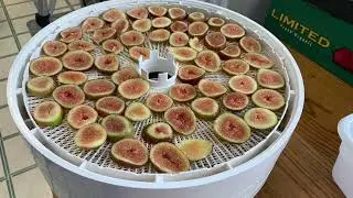 Our figs dried and fresh