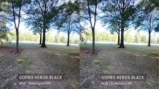 GoPro HERO6 Black Stabilization Test: ON vs OFF / Walking / 4K30