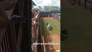 Rays drills bullpen 2024 Tampa Bay Rays Orioles Spring Training #mlb #rays #orioles #fun #baseball