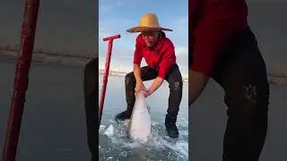 Poor red $ ice-fish hole😢