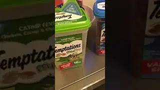 Catnip fever vs surfers delight