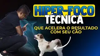 5 MANEIRAS DE TREINAR O HIPER FOCO COM SEU CÃO