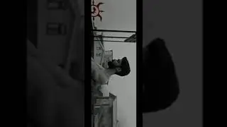 Mahaan - Dhruv Vikram's Poster | vikram | karthik subbaraj