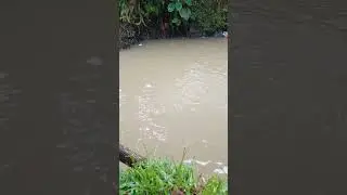 mocel.guys #fishing #fishing #mancingceria #mancing #mamcingliar