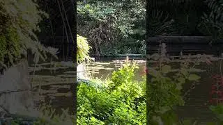 Miami beach botanical garden 