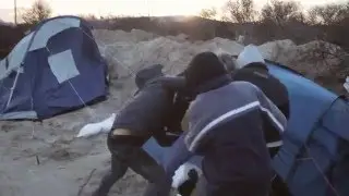 CalaisJungle January 15 2016