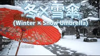 【睡眠用・作業用】傘に降り積もる雪の音 1時間（Snow Falling on Japanese Umbrella for Sleep）