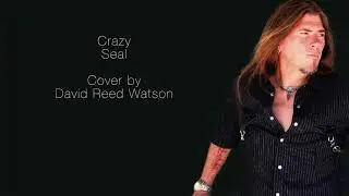Seal - Crazy Cover by David Reed Watson