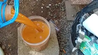 Primer video (2026)Aplicando fermentó Rico en proteínas 🐟🏡respondiendo preguntas de los seguidores
