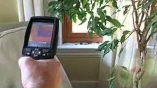 How to Check Mildew in Your Home in West Palm Beach FL