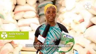 The Sustainable Rice Platform - Iringa, Tanzania