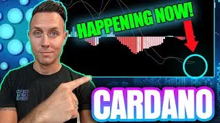 CARDANO GROWTH THRIVES THROUGH THE BEAR! (ADA Will Not Fall)