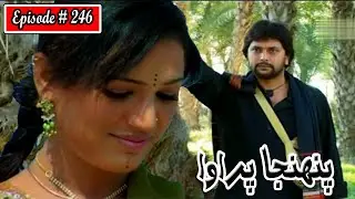 Pahinja Parawa Episode 246 Sindhi Drama | Sindhi Dramas 2022
