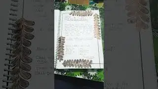 BCom(H) sem 6 200 pages project in Indian banking system..