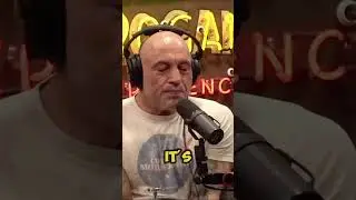 Joe Rogan on CHAMPION MINDSET #ufc #shorts