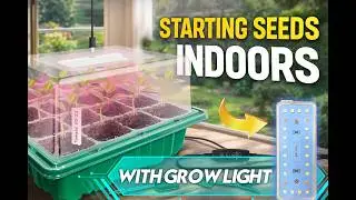 [Seed Starter Tray] Starting Seeds Indoors with a Grow Light Seed Starter Tray