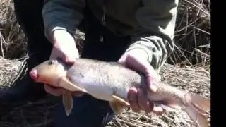 Toronto Urban Fishing, Spring 2014