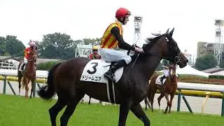 2025.6.14:東京競馬場観戦日記（前編）