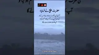 hazrat Ali Quotes in urdu, hazrat Ali ke aqwal, golden words #hazratali #islamicquotes #shorts