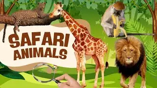 Факты о животных Сафари для детей! 🦁🐘🦒 Узнайте о диких животных и их звуках
