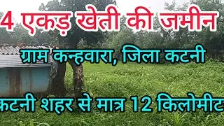4 एकड़ मौके की जमीन। कटनी शहर के नजदीक #agriculturelandforsale #landforsale 