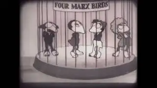 Silly Symphony - The Bird Store (1932) - 16mm UK Black and White Sound Film Reel Print