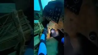 This Was His Last Dive #thalassophobia #underwaterhorror #underwater  #finaldescent  #scubadiving