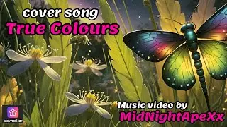 Feel Your Spirit Soar with Midnight Apex's 'True Colour' Performance!