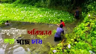 কচুরিপানা পরিষ্কার করে মাছ চাষ | vlog 3 | caca vaste official |