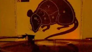 Palm Skin Productions - Condition red