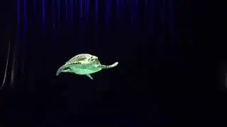 Pepperscrim Hologram