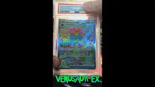 PSA GRADE REVEAL for the 151 Venusaur EX SIR! BEAUTIFUL!