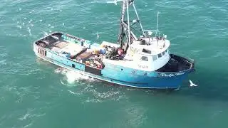 Dungeness crab 2023