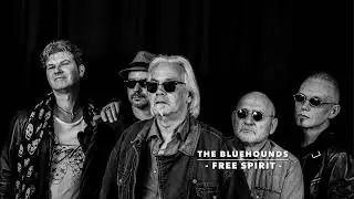 THE BLUEHOUNDS - Free Spirit