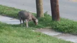 DSCF2676