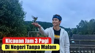 Suasana Jam 3 Pagi Dengan Kicauan Burung di Negara Tanpa Malam #vlog  #fakta #wni #swedia
