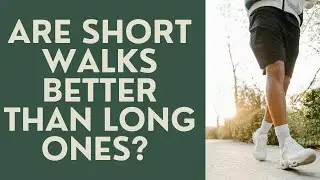 Seniors: Are Several Short Walks Better than One Long One?