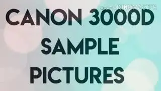 Canon EOS 3000D sample pictures || 18-55mm kit lens photography
