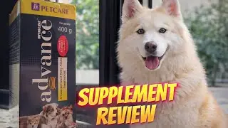 Dogs Supplement Review 💯| Petcare Advance Supplement Review in malayalam|Multivitamin | #dogs #care