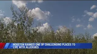 Houston ranked among most challenging for allergies | CW39 HOUSTON