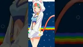 velvet vs neon katt