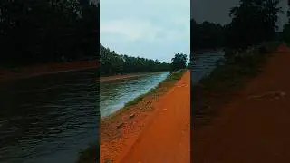 Village Irrigation canal side Road view #village #villagelife #beautiful #nature #scenery #natural