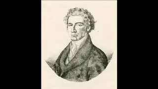 Kuffner Arietta