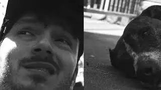 Frank Twitchy - Pain In My Pocket (Music Video)