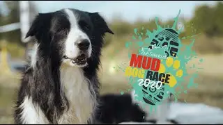 MUD DOG RACE 2020