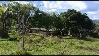 300 hectares pecuária Roraima mais detalhes na descrição 👇👇95 991775571 watts