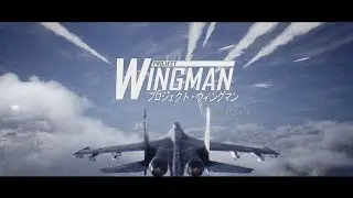 Showdown Over Bering Strait | Project Wingman: Cold War (Mercenary Difficulty)