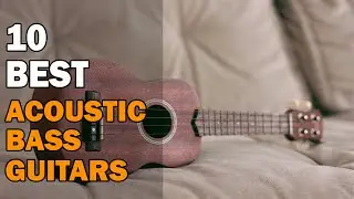 10 Best Acoustic Bass Guitars 2019 | Best Acoustic Bass Guitars Review