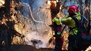 Incêndios florestais: mais de dez mil hectares podem ter sido destruídos até agora na Patagónia