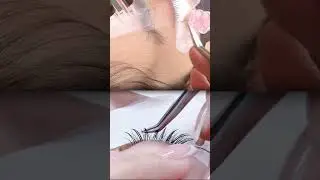 LASHTRAY, NATURE EYELASH EXTENSIONS